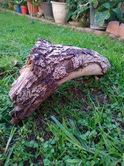 Genuine Driftwood For Aquariums Terrariums Decor 