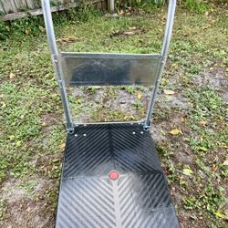 Heavy Duty Platform Dolly Folding Push Cart with Wheels