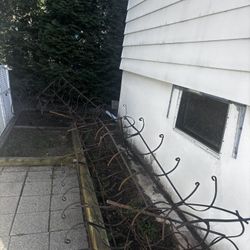 Free -IRON GATE - I Think It Was A Fencing Around A Small Garden 