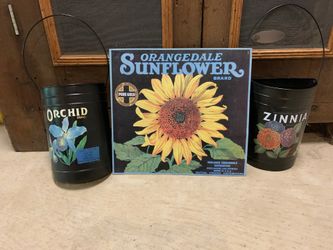 Sunflower , flower hangings