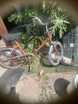 Sevende bicicleta clásica