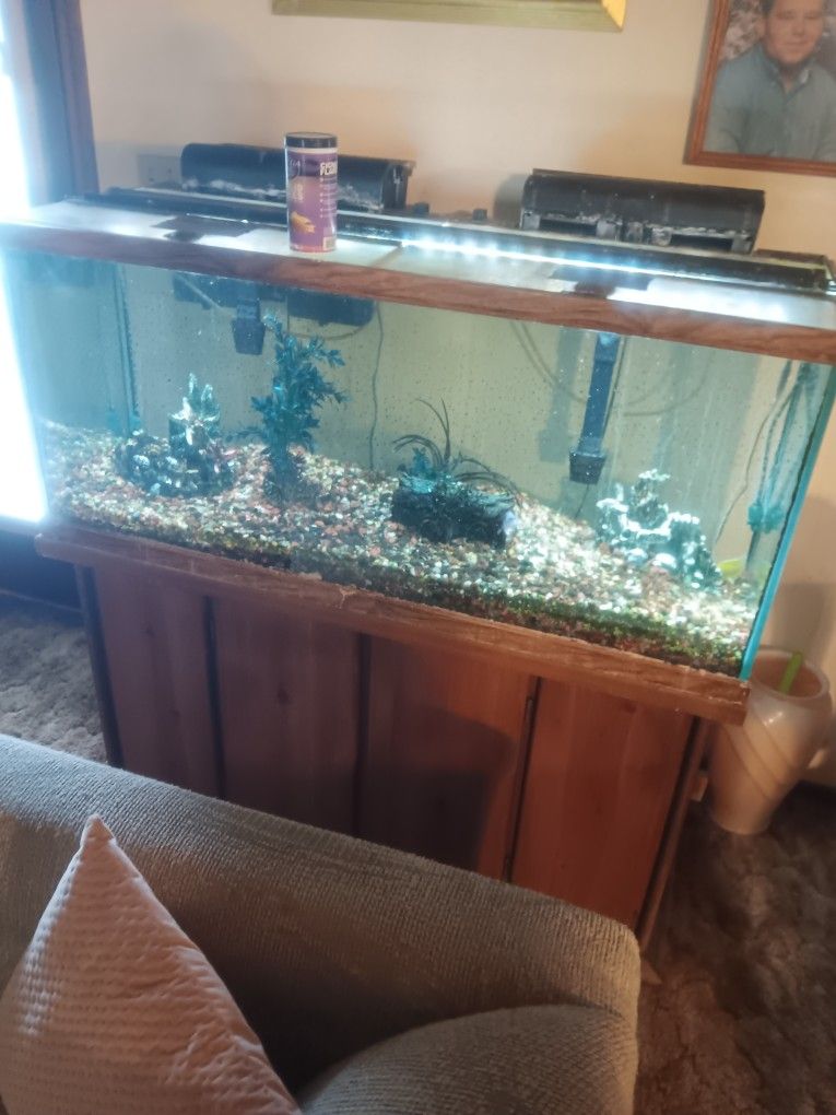 75 Gallon Fish Tank Stand And All Accessories 