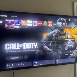 VIZIO smart tv 