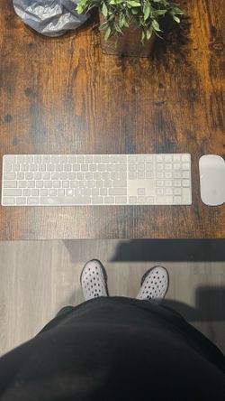 Magic Keyboard and mouse