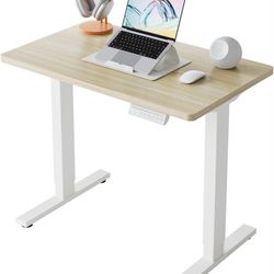 Electric Standing Desk