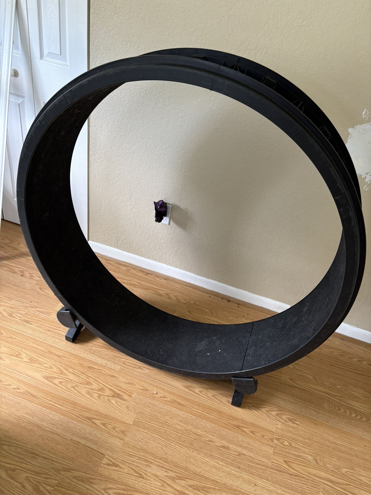 Cat Wheel