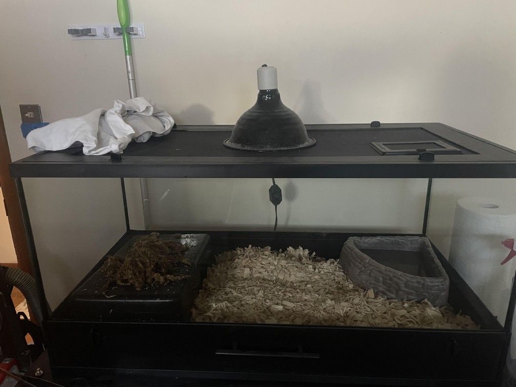Complete Snake Tank SETUP