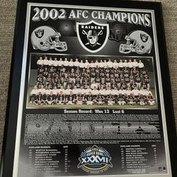 2002 Oakland Raiders AFC Champions Team Plaque NFL Licensed Healy Awards