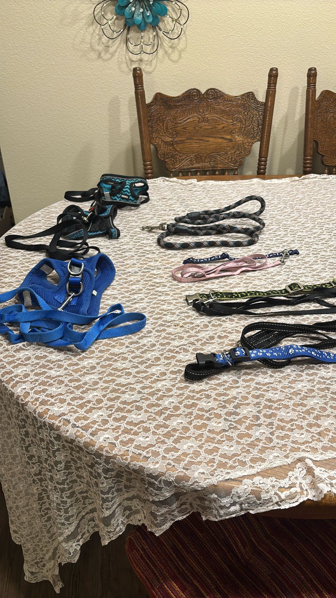 Pet Collars & Harnesses With Leashes