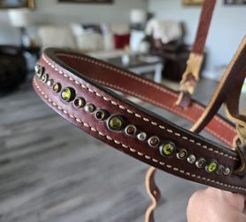 Possible Buffalo Leather Brown Noseband/Tiedown