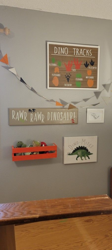 BOYS DINOSAUR ROOM DECOR!!