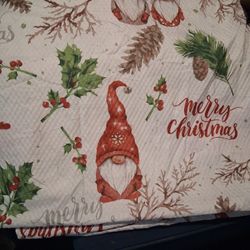 Christmas  Nome Shower Curtain 