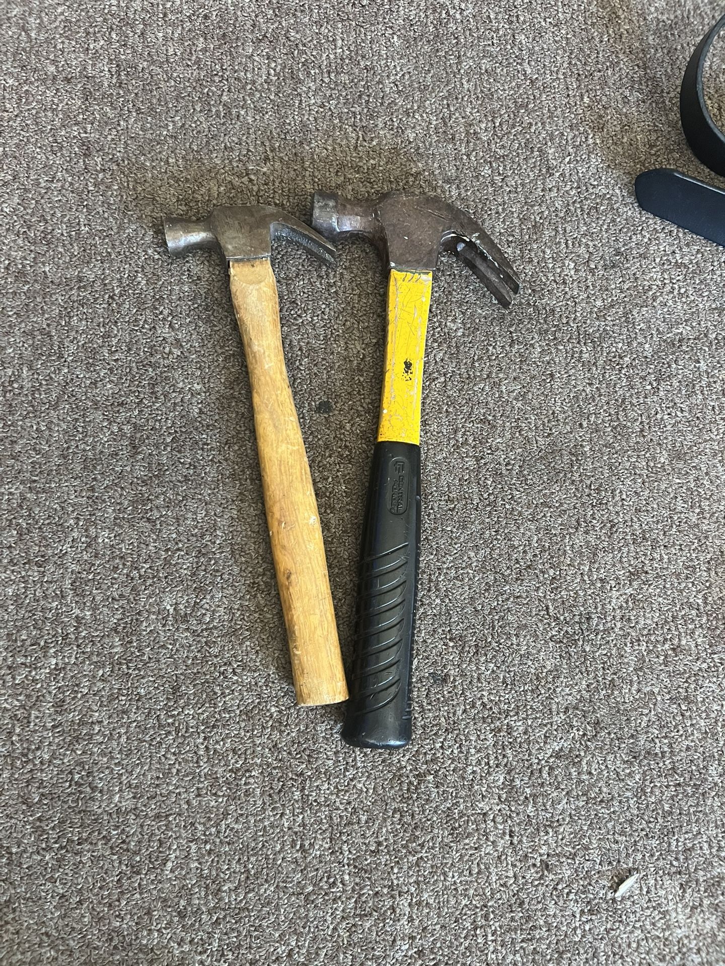 Hammer/hammers