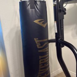 Everlast Punching Bag