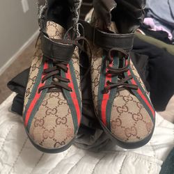 Gucci Shoes