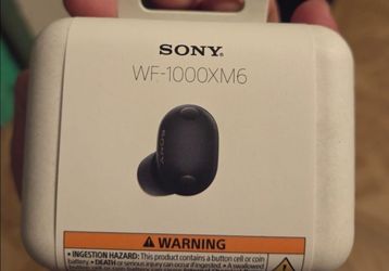 Earbuds sony