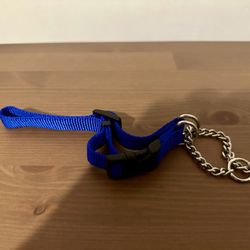 Coastal Dog Collar 