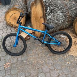 Matt Hoffman BMX 20 In Bike 