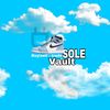_solevault1