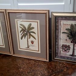 Palm Tree 3-piece Artwork Set