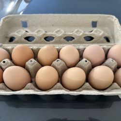 Fresh Eggs