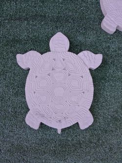Turtle Stepping Stones Concert reinforced