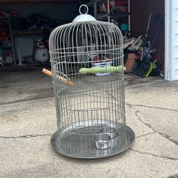 Bird Cage 