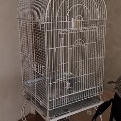 Large bird cage