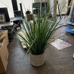 Faux Grass Plant 