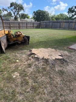 Stump grinding