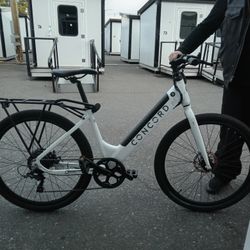 Concord Electric Bike 27.5"