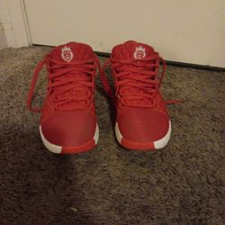 Nike Lebron Witness 8