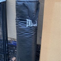 Everlast Punching Bag