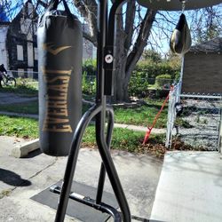 Everlast Dual Stand ( Heavy Bag & Speed Bag)