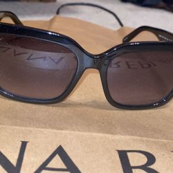 Banana Republic Sunglasses