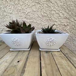 Beautiful Ceramic Pot.  Whit Succulent Plant.  Both X $15  9” X 5” Long 