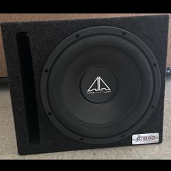12” Subwoofer with Box