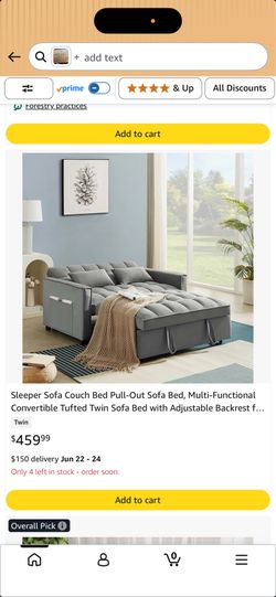 Couch/Bed