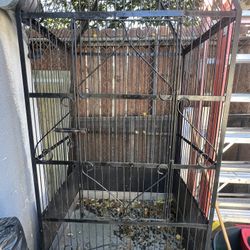 Bird Cage 