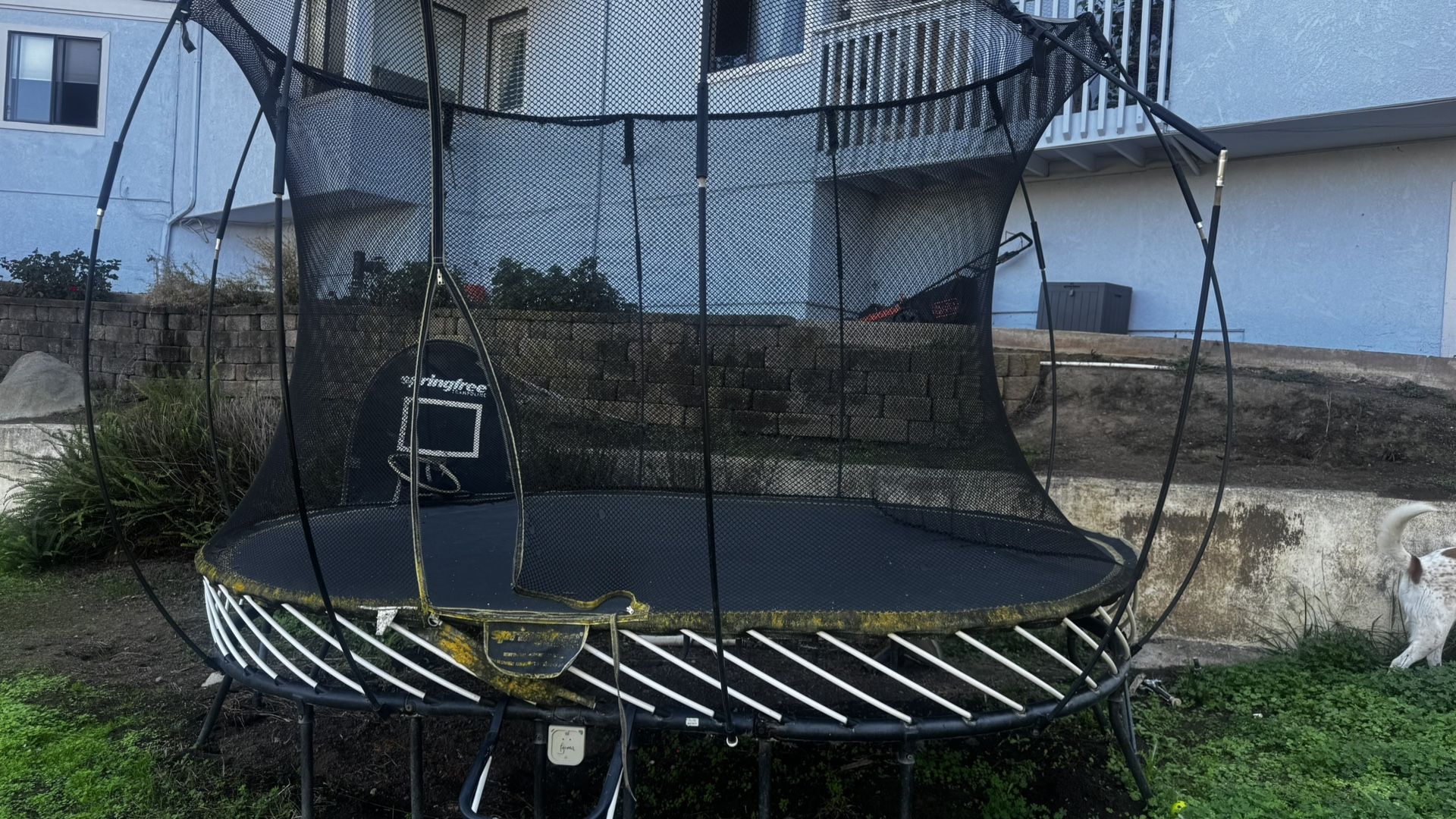Spring free Trampoline