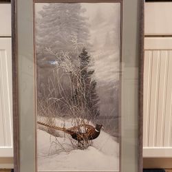 Stephen Lyman's Color in the Snow