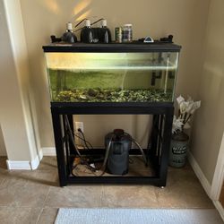 turtle tank/ fish tank set up