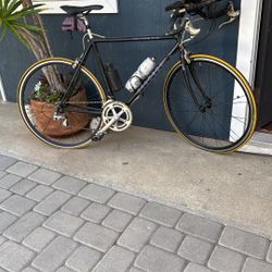14 Speed Bianchi 