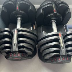 Bowflex 1090 Dumbbells with Foldable Bench  