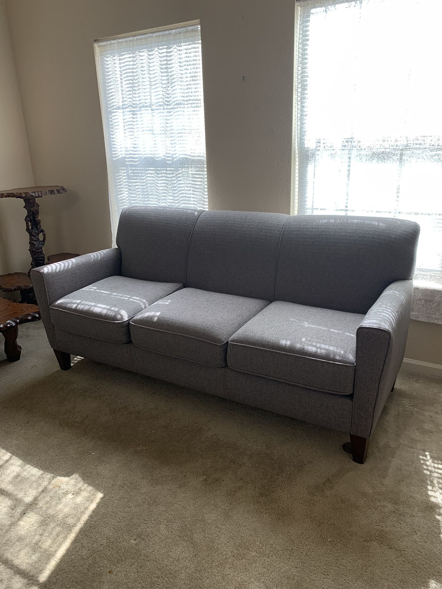 Living Room Couch + Two Pillows (Like Brand New)