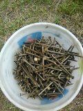 Bucket of nails