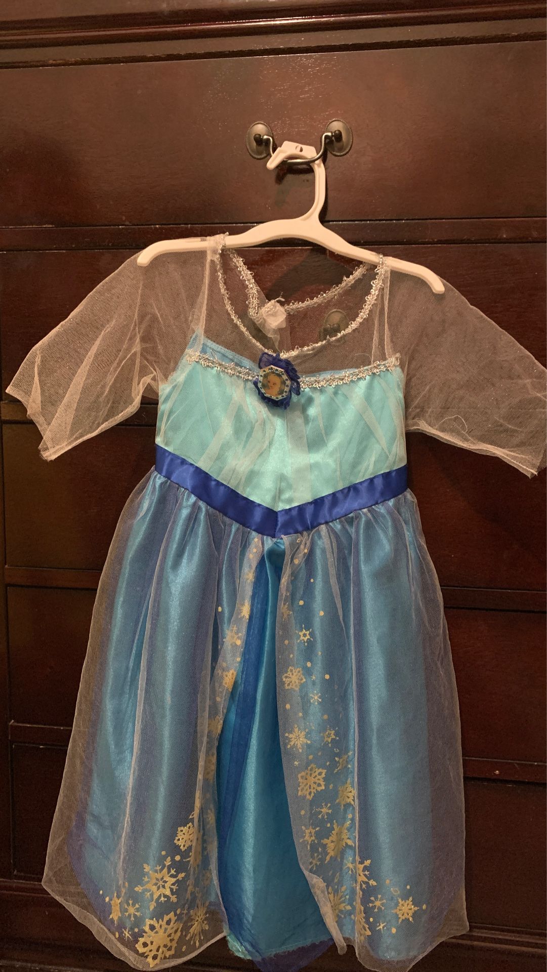 Elsa Costume