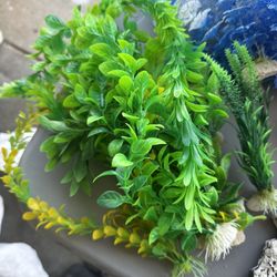 Aquarium Accessories And Decor