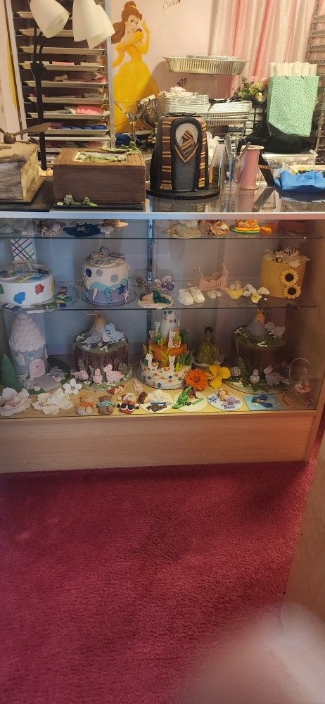 Display Case