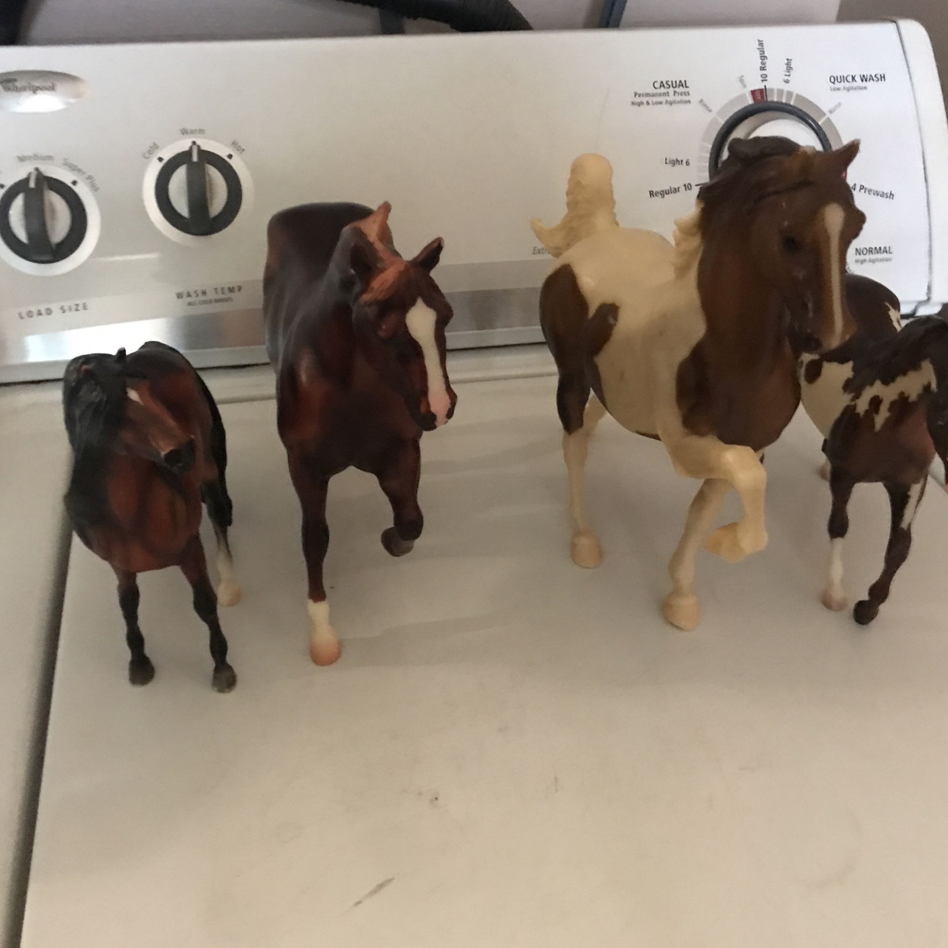Caballos